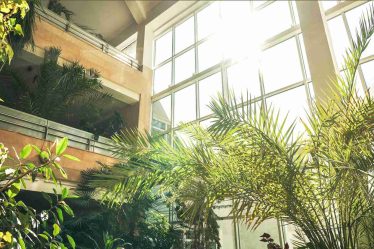 arsitektur biophilic
