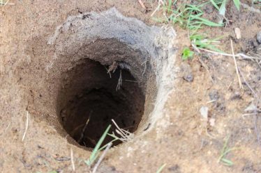 cara kerja biopori untuk mengindari banjir